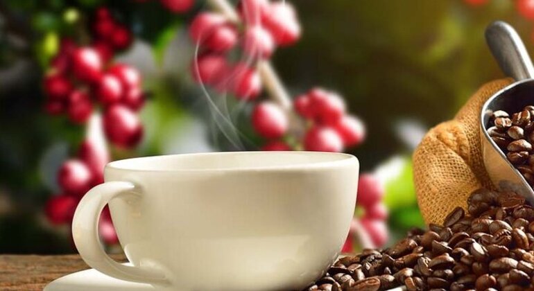 L'esperienza del caffè: Tradizione ed essenza Colombia — #8