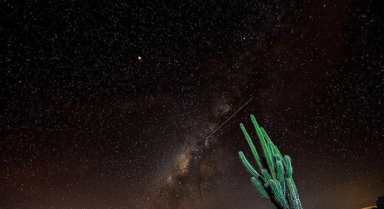 Tour privato al deserto di Tatacoa da Bogotà Colombia &mdash; #5