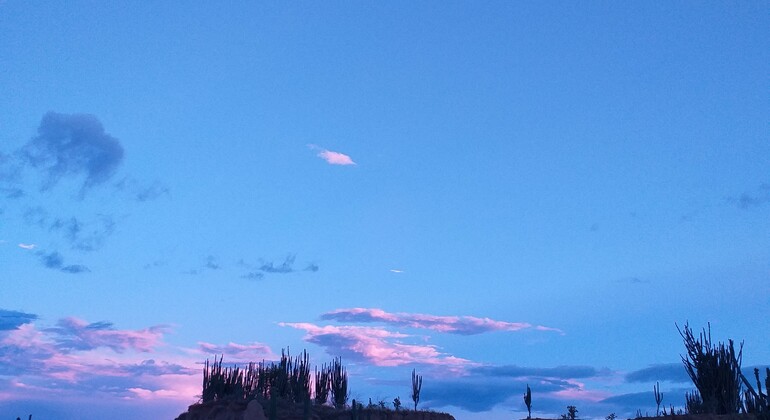 Tour privato al deserto di Tatacoa da Bogotà Colombia &mdash; #7