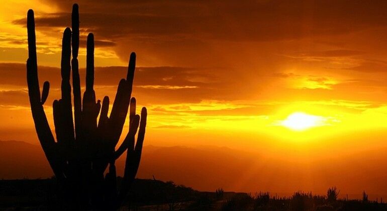 Tour privato al deserto di Tatacoa da Bogotà Colombia &mdash; #8
