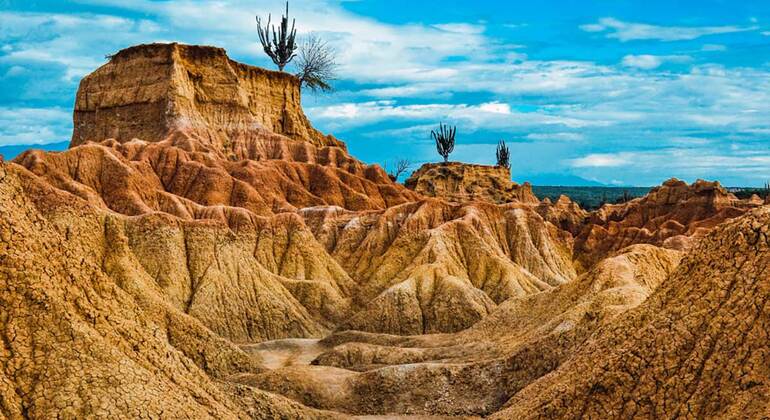 Tour privato al deserto di Tatacoa da Bogotà Colombia &mdash; #13
