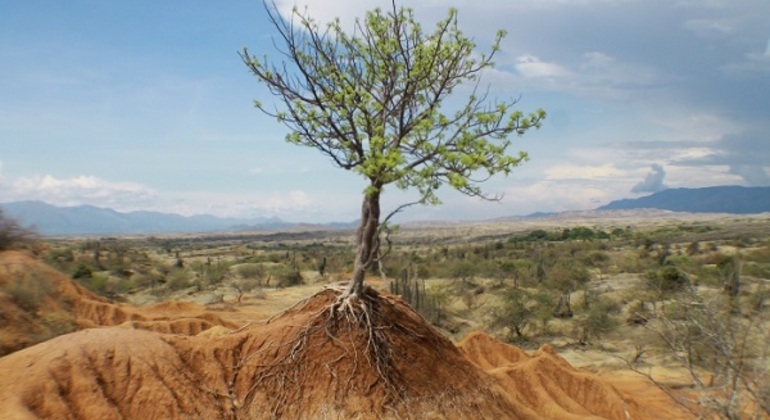 Tour privato al deserto di Tatacoa da Bogotà Colombia &mdash; #2
