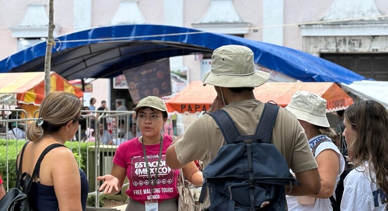 Visita livre ao essencial de Mérida México &mdash; #5