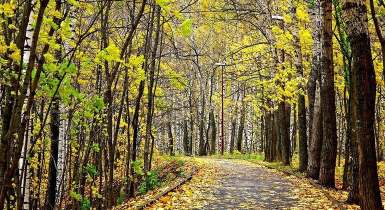 Spaziergang durch den Park von Nischni Nowgorodn Bereitgestellt von Tour Gratias Nizhni Novgorod