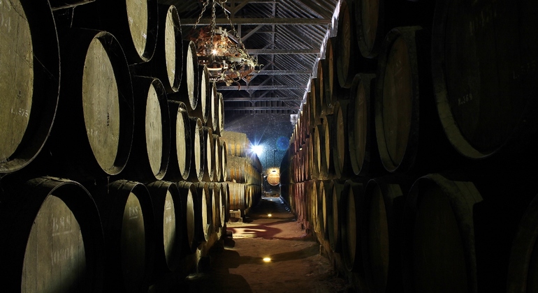Visita Privada com Prova de Vinhos de Lisboa na Região de Setúbal Organizado por TakingUThere