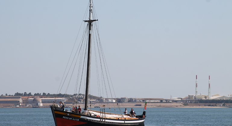 dolphin-watching-day-tour-from-lisbon-es-9