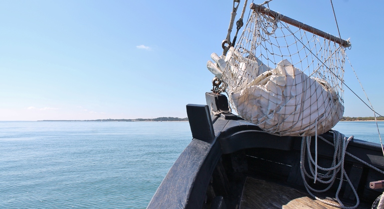 dolphin-watching-day-tour-from-lisbon-es-11