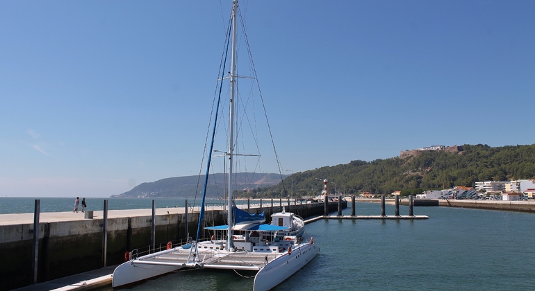dolphin-watching-day-tour-from-lisbon-es-12