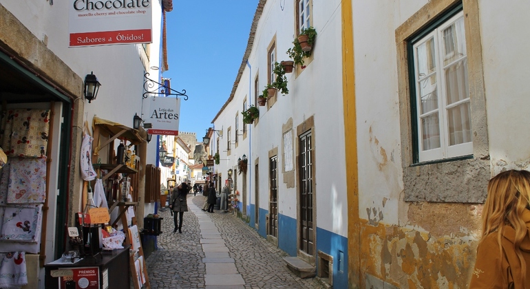 Excursão privada de um dia à zona histórica de Óbidos e Mafra Organizado por TakingUThere