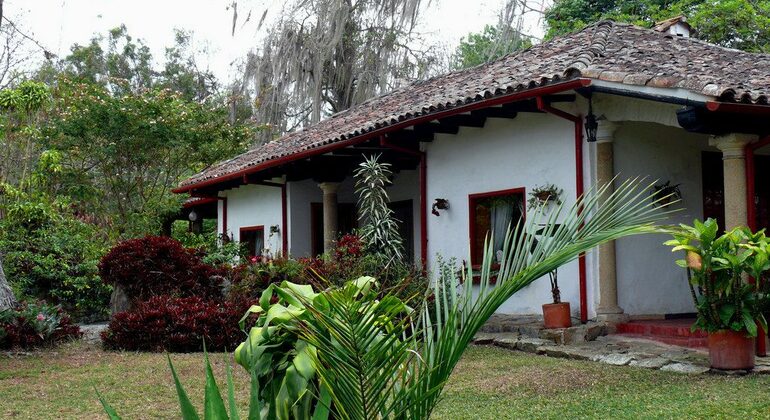 Fazenda de café Hacienda La Coloma Excursão de um dia Organizado por Gran Colombia Tours