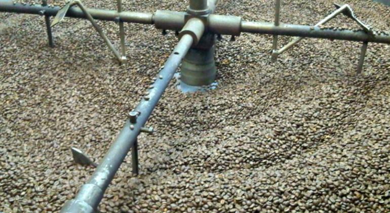 Coffee Farm Hacienda La Coloma Daytrip Colombia — #2