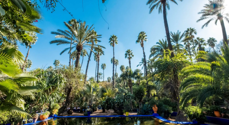 Visite privée des jardins de Marrakech Maroc &mdash; #6