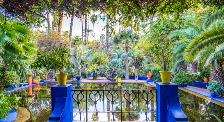 Visite privée des jardins de Marrakech Maroc &mdash; #9