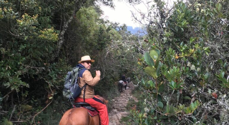 Randonnée à cheval de Guadalupe à Monserrate Colombie — #3