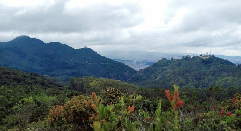 Randonnée à cheval de Guadalupe à Monserrate Colombie — #5