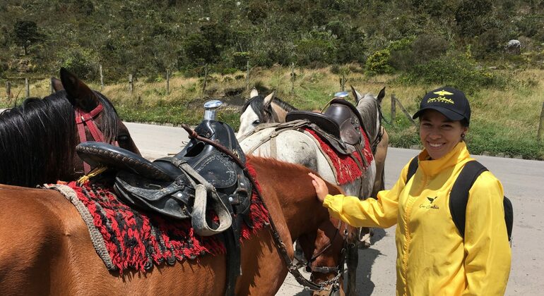 Randonnée à cheval de Guadalupe à Monserrate Colombie — #8