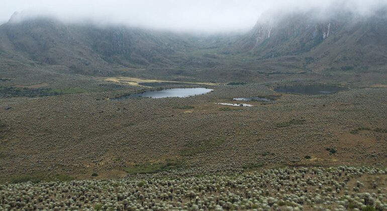 Sumapaz-Moorland-Wanderung in Bogota Kolumbien — #3