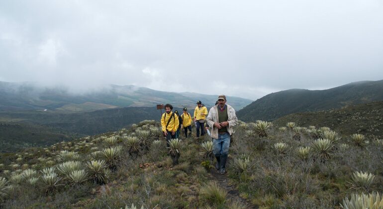 Sumapaz-Moorland-Wanderung in Bogota Kolumbien — #5