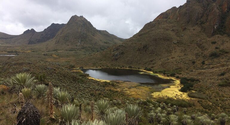 Sumapaz-Moorland-Wanderung in Bogota Kolumbien — #8