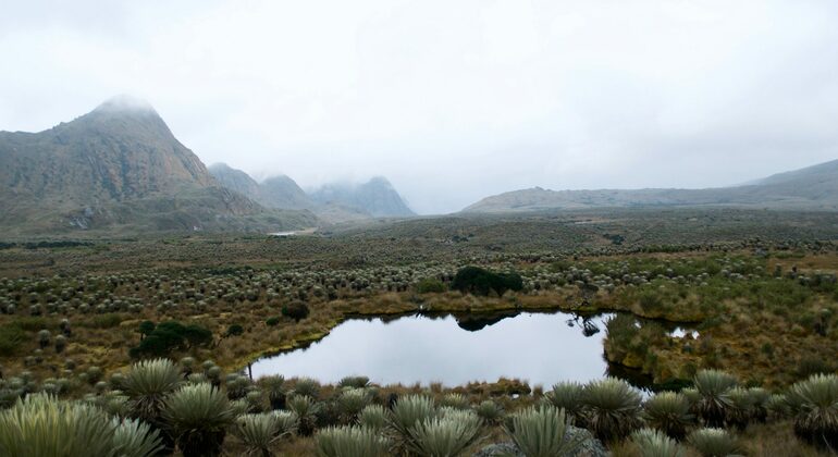 Sumapaz-Moorland-Wanderung in Bogota Kolumbien — #10