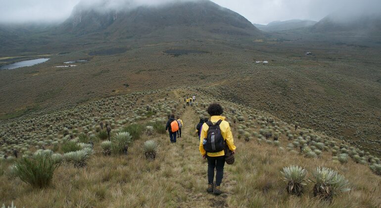 Sumapaz-Moorland-Wanderung in Bogota Kolumbien — #13