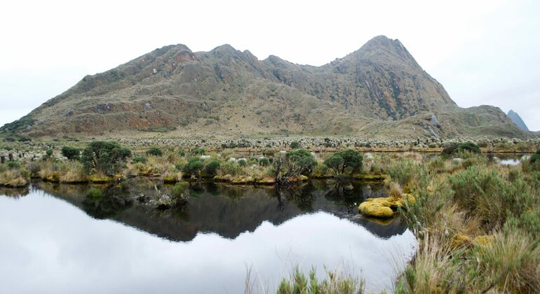 Randonnée dans les landes de Sumapaz