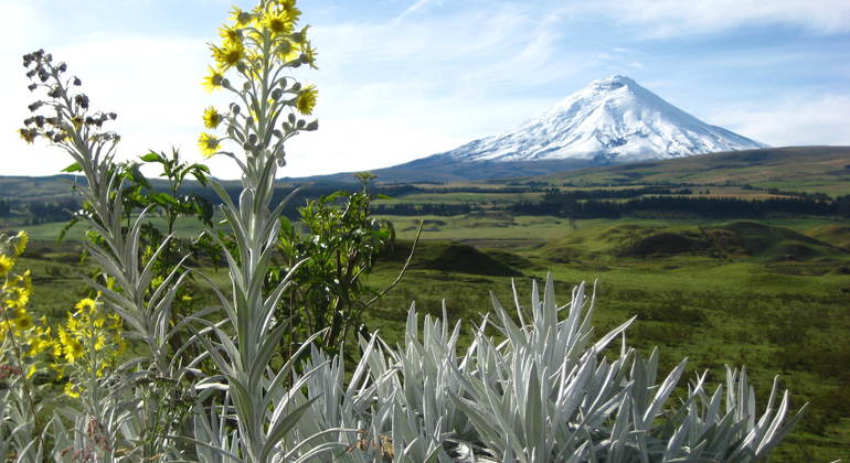 Excursão de um dia de bicicleta e caminhada ao Cotopaxi saindo de Quito Organizado por Community Adventures