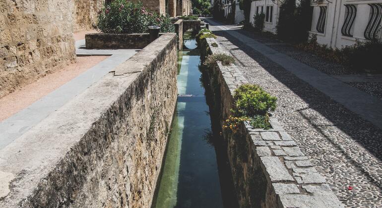 jewish-quarter-alcazar-walking-tour-en-6