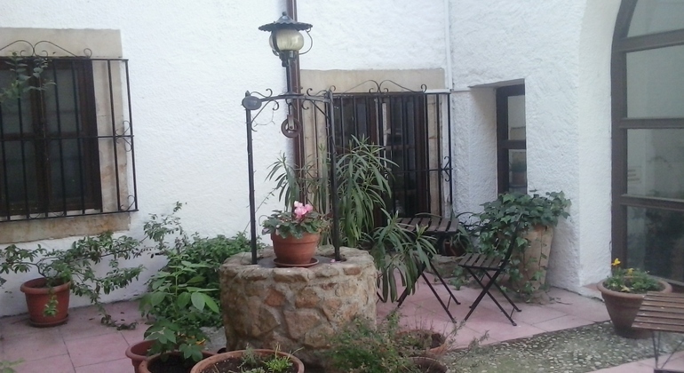 tour-of-the-best-of-salamanca-en-2