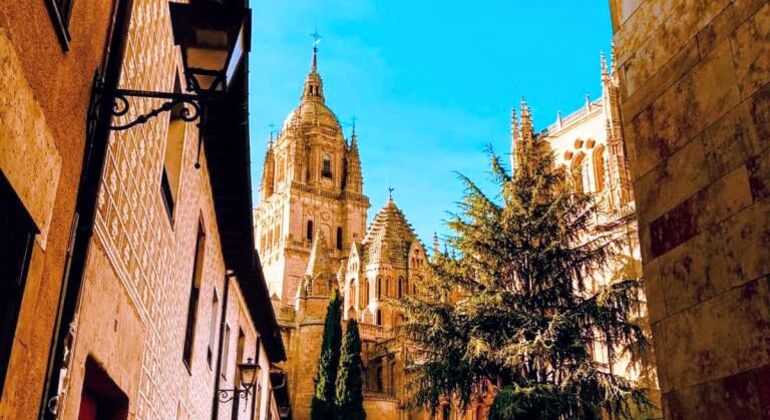 Tour of The Best of Salamanca, Spain