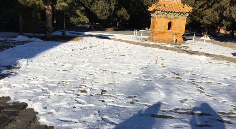 Visita de um dia à Grande Muralha de Badaling e ao Túmulo dos Ming em Pequim República Popular da China — #12