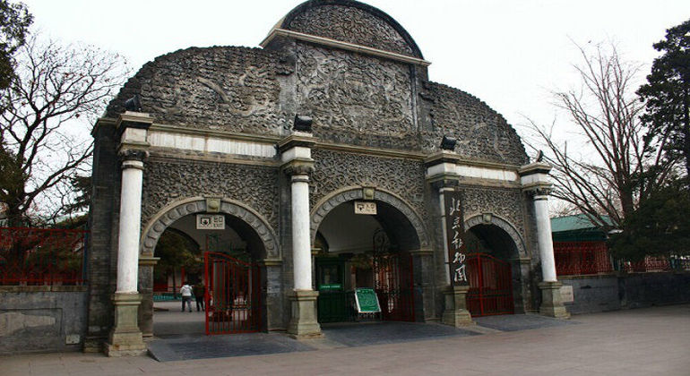 Excursion d'une journée au zoo et aux sites touristiques de Pékin Chine — #19