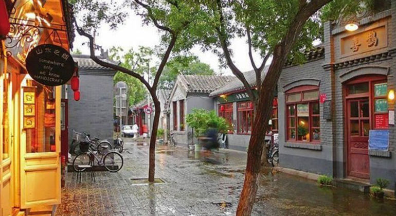 Excursion d'une journée au zoo et aux sites touristiques de Pékin Chine — #11