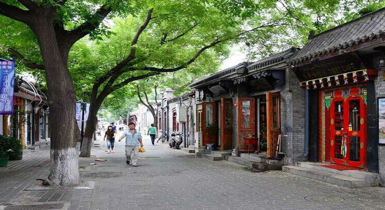 Excursion d'une journée au zoo et aux sites touristiques de Pékin Chine — #4