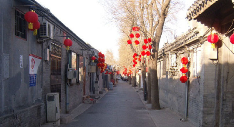 Excursion d'une journée au zoo et aux sites touristiques de Pékin Chine — #5