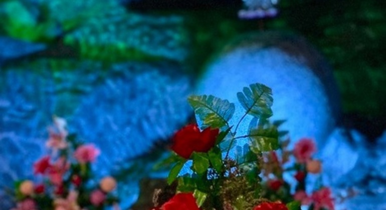 Nemocón Mines Tour from Bogota: Passages of Light Colombia &mdash; #8