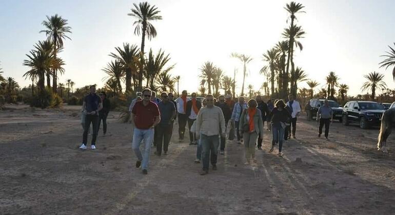 discover-the-magic-history-of-marrakech-tour-es-8