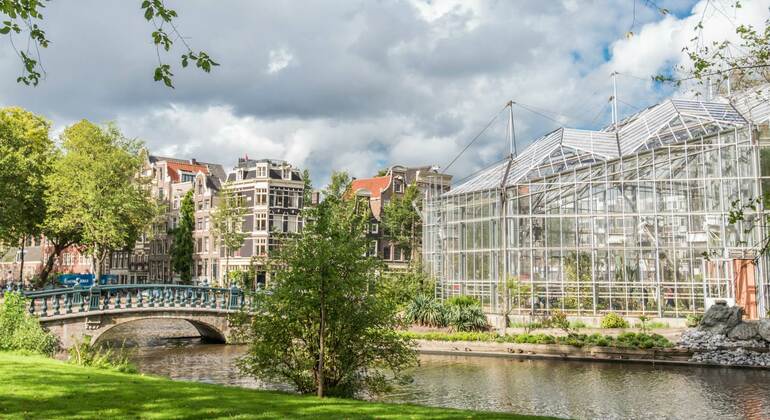 Tour zum Zweiten Weltkrieg (Jüdisches Viertel) in Amsterdam Bereitgestellt von Viaterra Tours