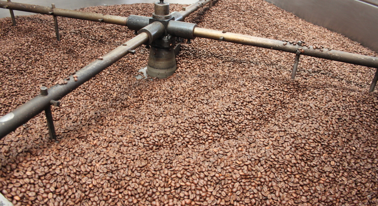 Coffee Tour in Fusagasugá from Bogotá Colombia — #2