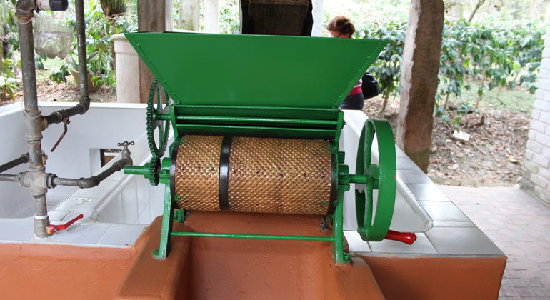 Coffee Tour in Fusagasugá from Bogotá Colombia — #5