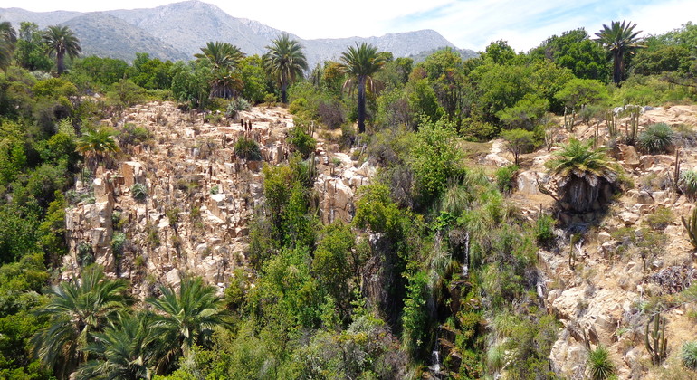 trekking-in-la-campana-national-park-trip-from-valparaiso-valparaiso