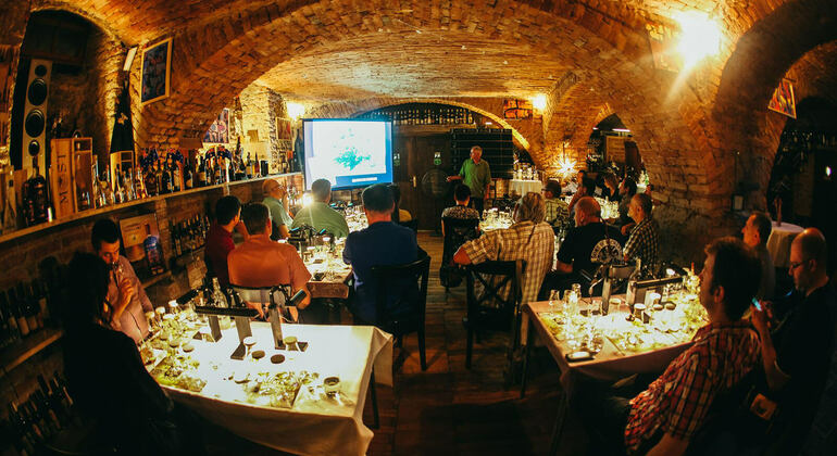 Zagreb Walking Tour with Wine & Cheese Tasting Operado por Mapping Croatia