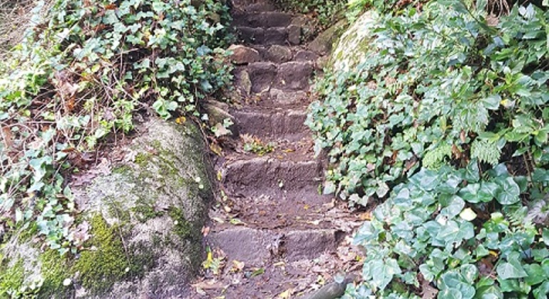 sintras-magical-walking-experience-en-7
