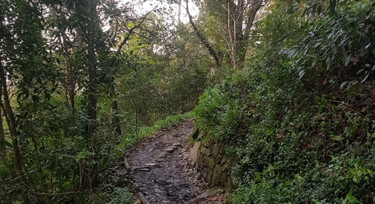 sintras-magical-walking-experience-en-8