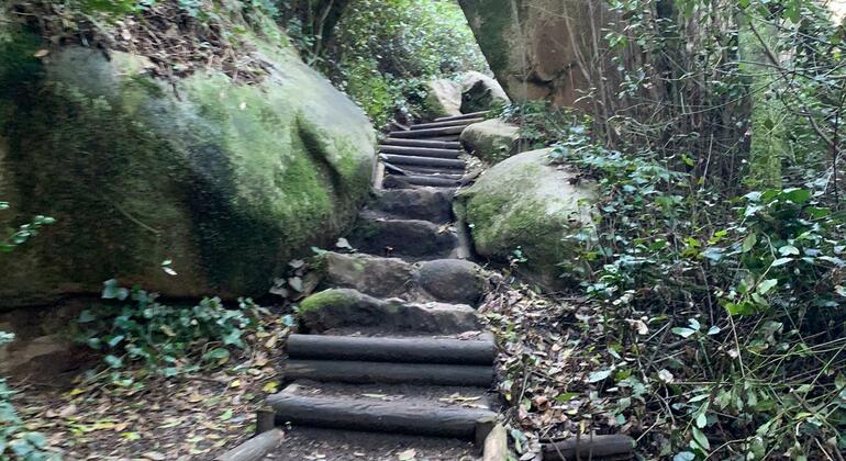 sintras-magical-walking-experience-en-9