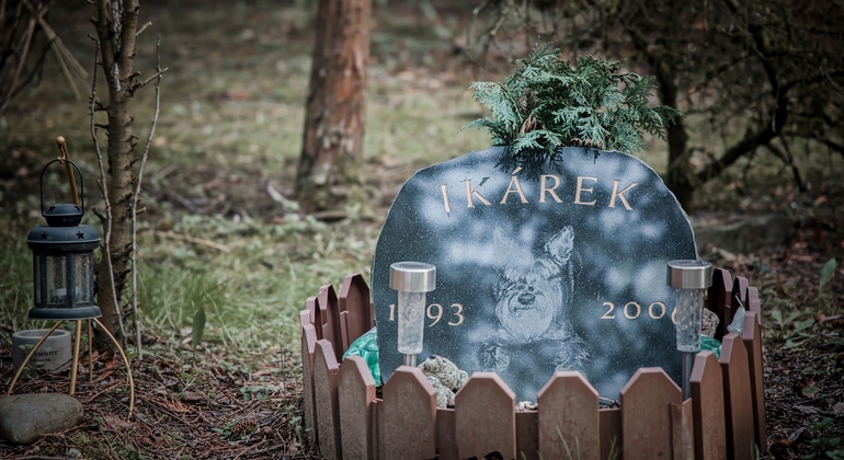 Tour dell'ospedale psichiatrico e del cimitero abbandonato Repubblica Ceca — #15