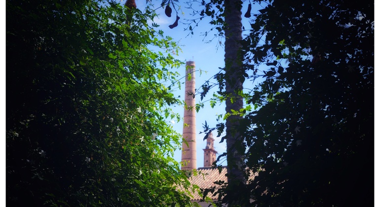 Visite privée du monastère de Cartuja Espagne — #8