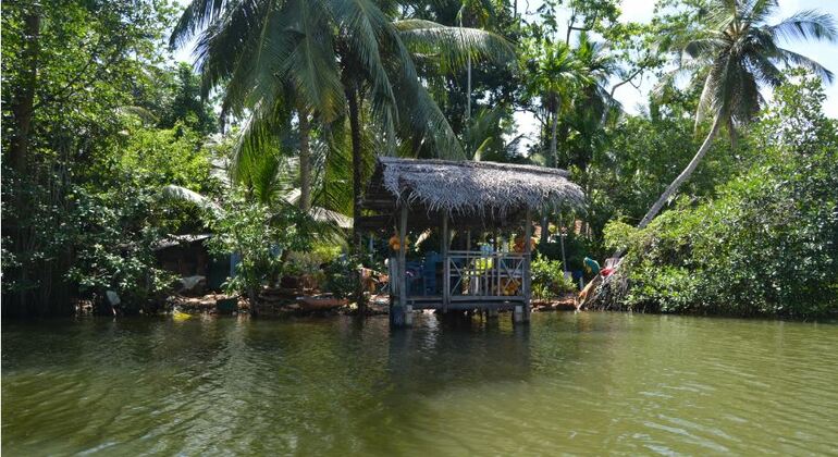 Explore a bela Costa Oeste: Excursão privada Organizado por Supun Tharaka