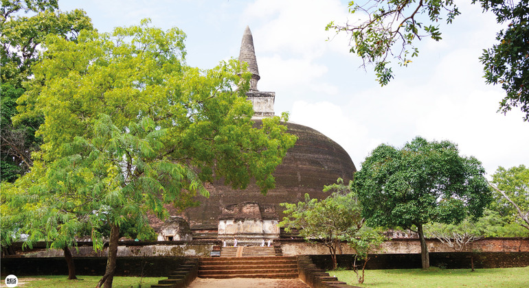 Excursion privée d'une journée à Polonnaruwa et au parc national de Minneriya