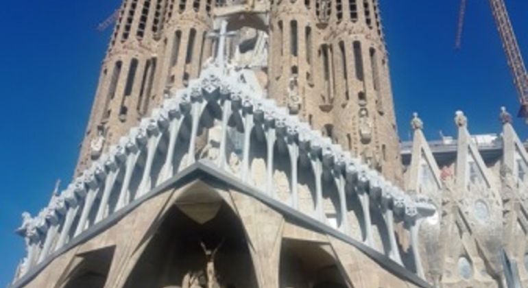 Barcelona Modernism and Gothic Tour Provided by Frederico Landre Mascaros